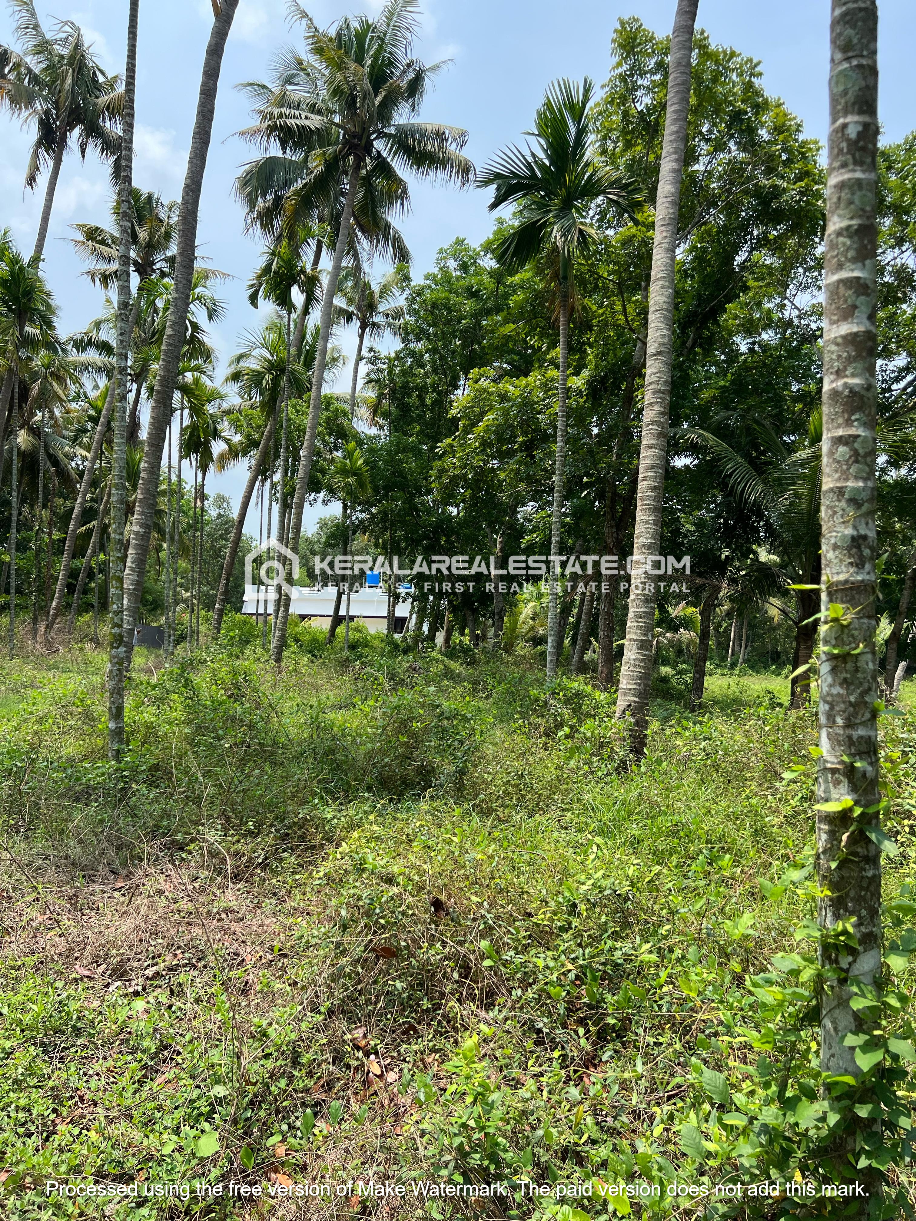 Land for Sale in Irinjalakuda, Thrissur