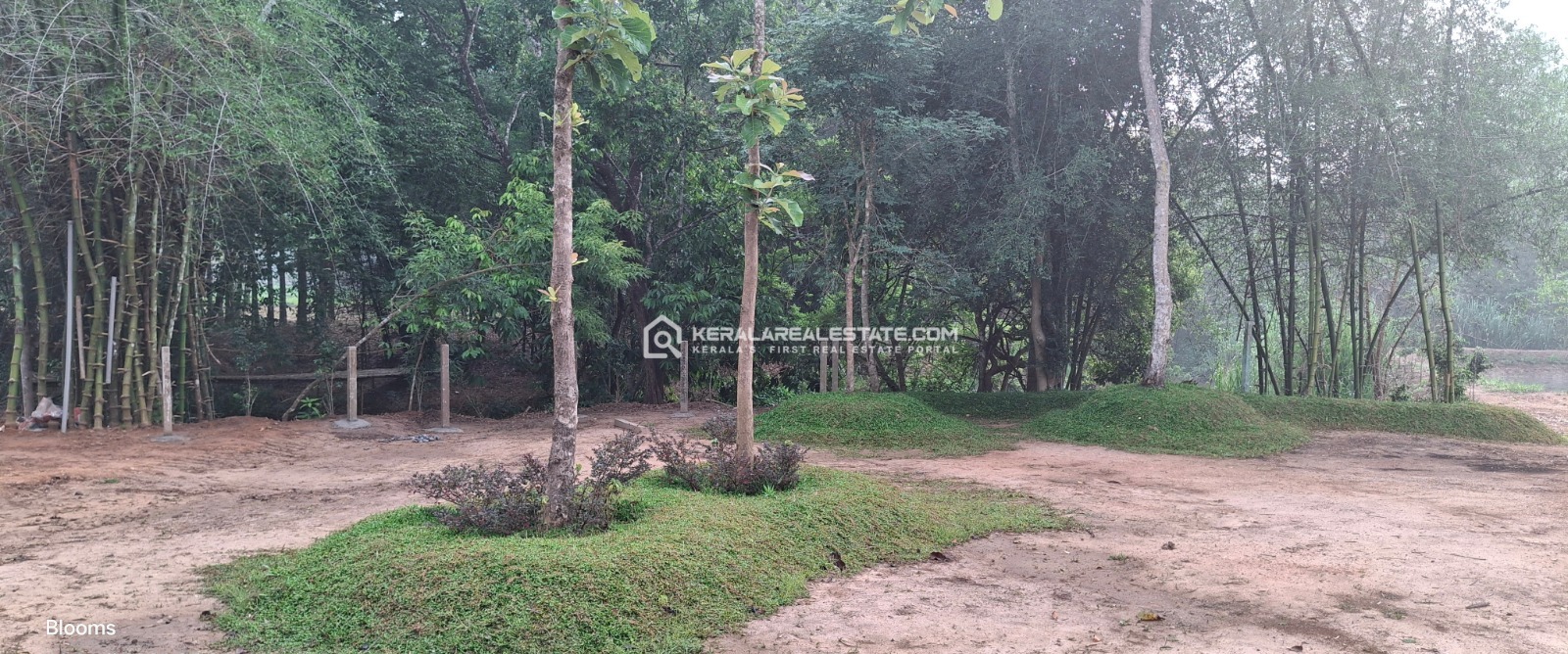 Premium Plots for Sale near Nadavayal, Wayanad 