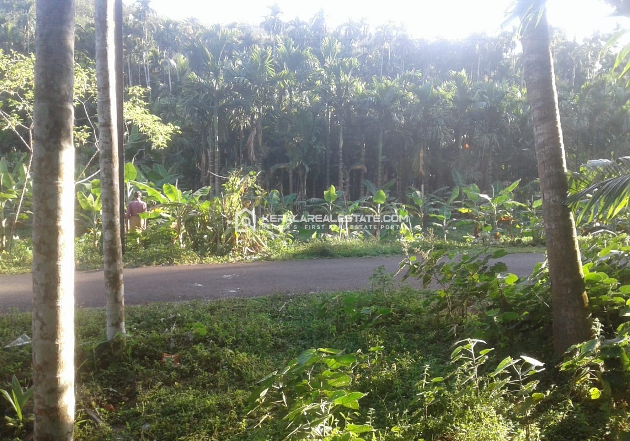 Land for Sale at Naduvannur, Kozhikode