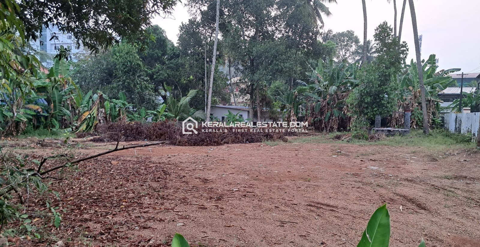 Residential Land for Sale in the Heart of Chengannur Town, Alappuzha