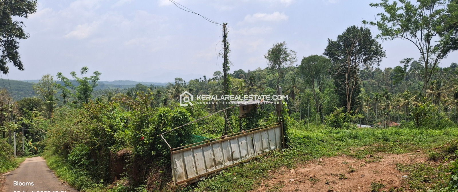 Land for Sale at Kenichira, Wayanad