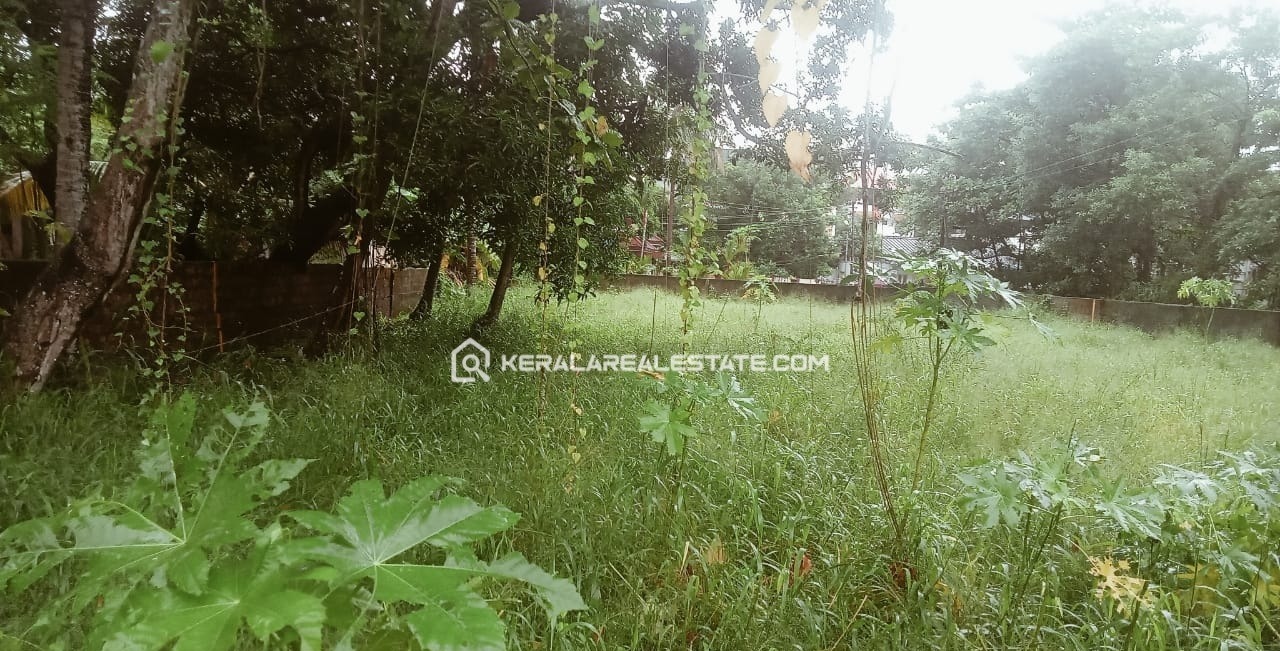 Land for Sale at Vyttila, Ernakulam