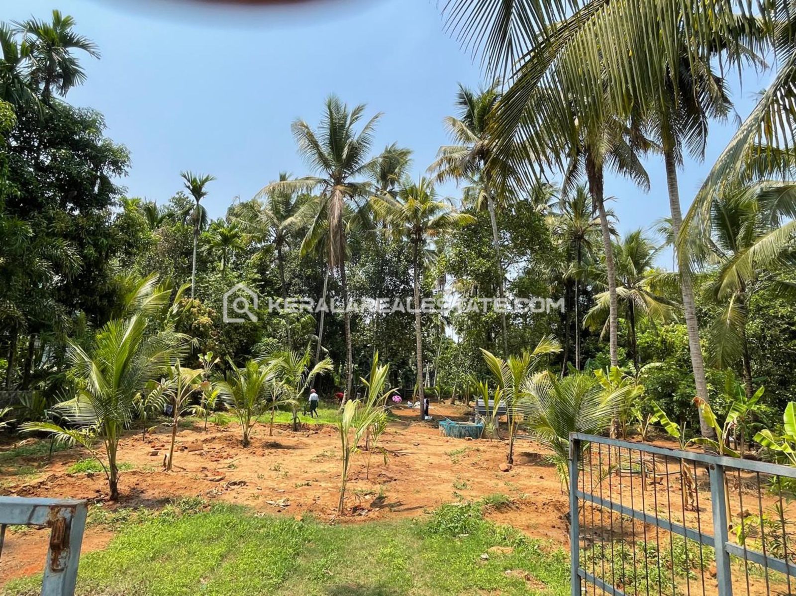 Land for Sale at Parappukkara, Thrissur