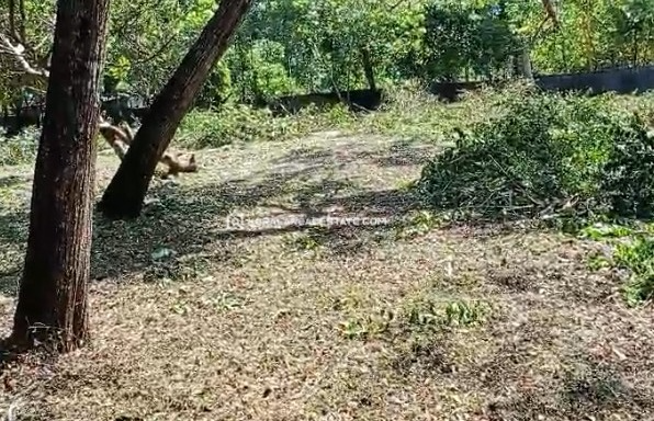 Land for Sale in Kalavoor, Alappuzha