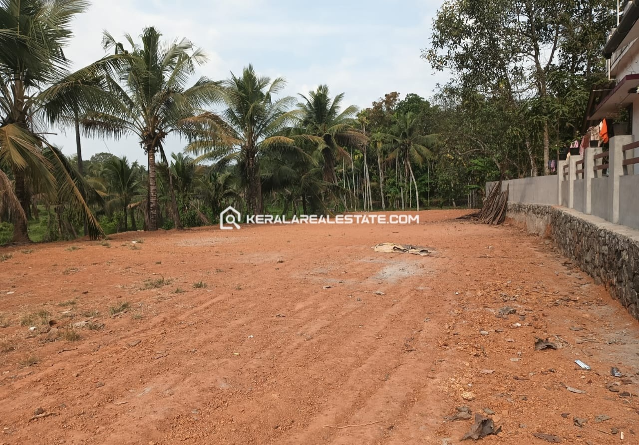 Land for Sale at Elanji, Ernakulam