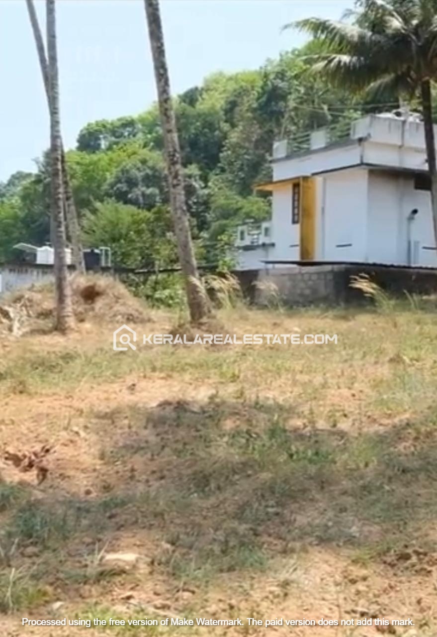 Commercial Plot for Sale in Thekkada, Vembayam,  Trivandrum 