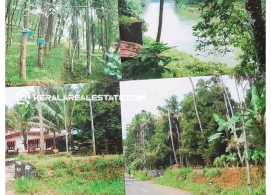 Land with House for Sale in Punnamattam, Muvattupuzha, Ernakulam