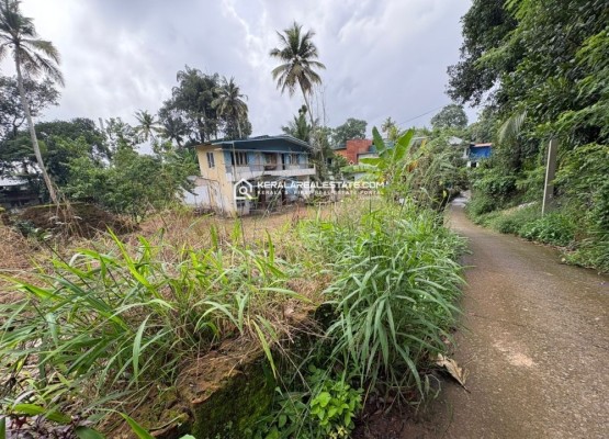 Plot for Sale in Pallom, Kottayam