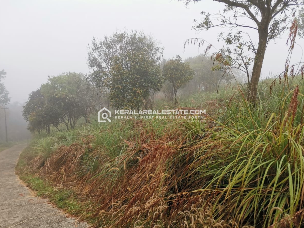 Land Suitable for Resort/ Homestay for Sale in Korome, Wayanad