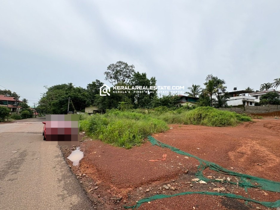 Commercial Plot for Sale in Chettikkunnu, Nattakom, Kottayam 