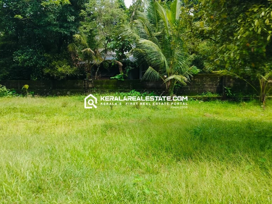 Land for Sale in Angamaly Town, Ernakulam 