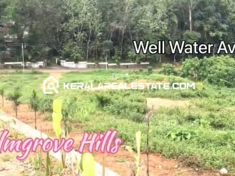 Residential Plot for Sale in Nirappil Junction, Piravom, Ernakulam