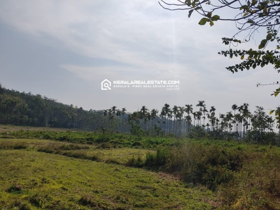 Resort for Sale in Nadavayal, Wayanad 