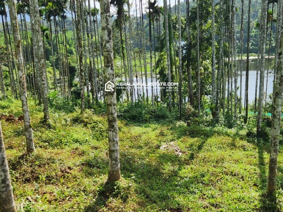 Water Frontage Land for Sale in Karapuzha, Wayanad 