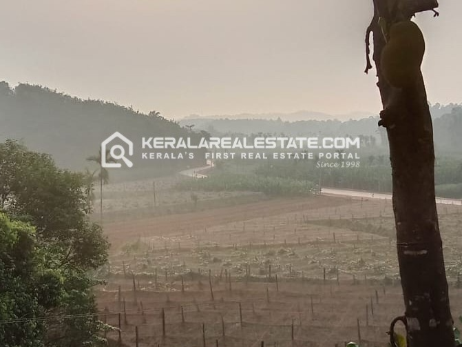 Beautiful Paddy-Facing Land for Sale in Valad, Wayanad