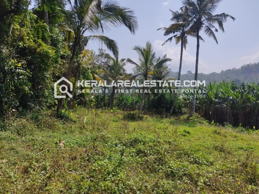 Land for Sale in Venmani, Wayanad