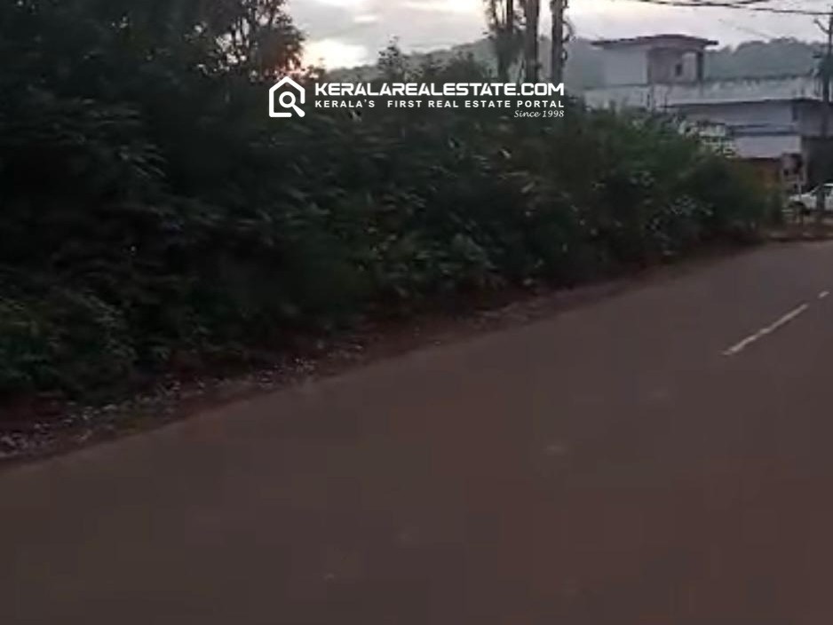 Prime Land for Sale in Anakkara (8th Mile) Kumily, Idukki 
