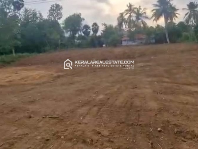Land for Sale in Puthucode, Thekkepotta, Palakkad 