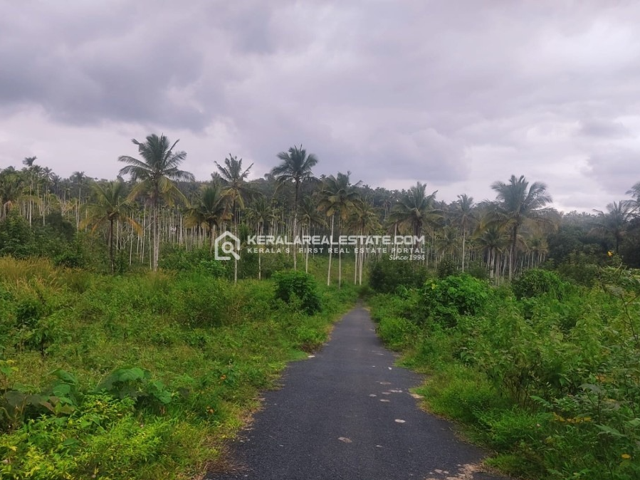 Premium 4 Acre Land in Poothadi, Wayanad