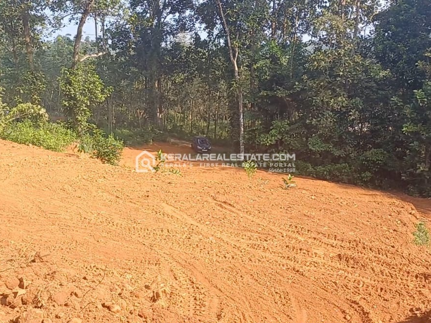 Land for Sale near Uzhavoor Road, Pala, Kottayam