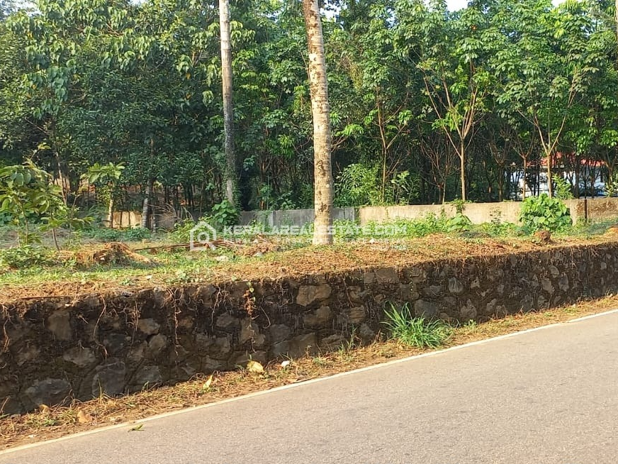 Land for Sale in Mazhuvannur, Ernakulam 
