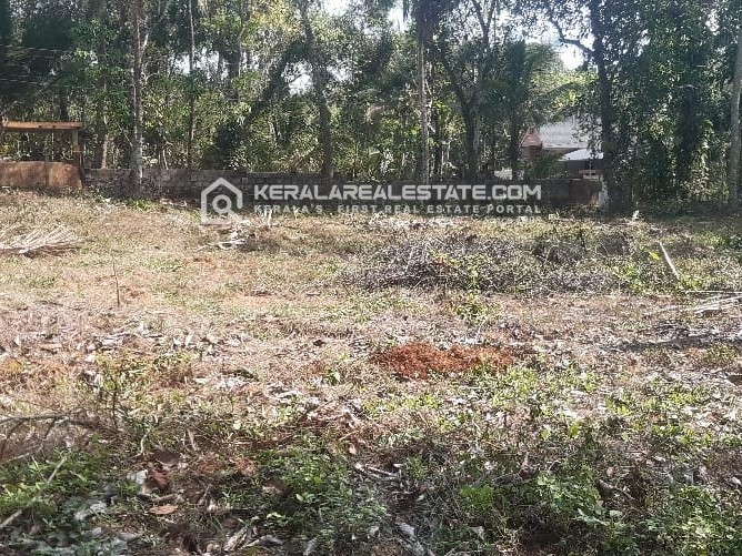 Land for Sale in Thuvayur, Pathanamthitta