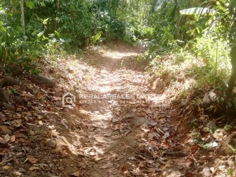 Land for Sale in Erumapramattom, Kottayam 