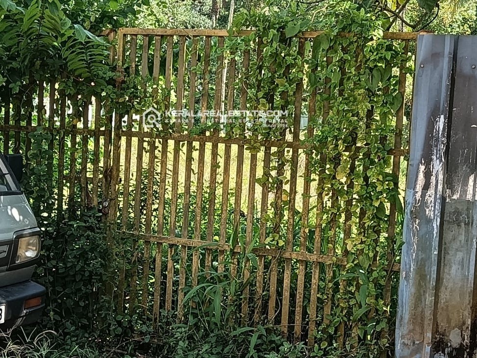 Land for Sale in Punnamoodu, Alappuzha