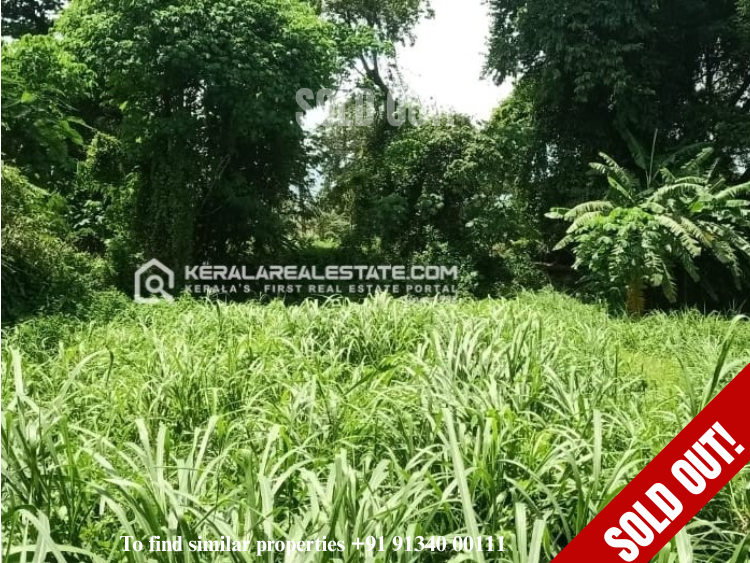 Land for Sale in Puthur, Palakkad