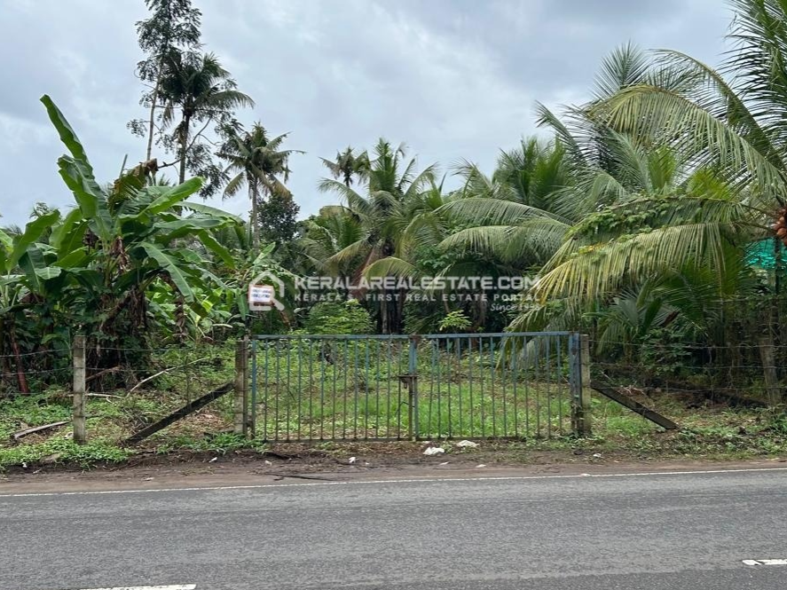Highway Frontage Land for Sale in Kaduthurathy, Kottayam 