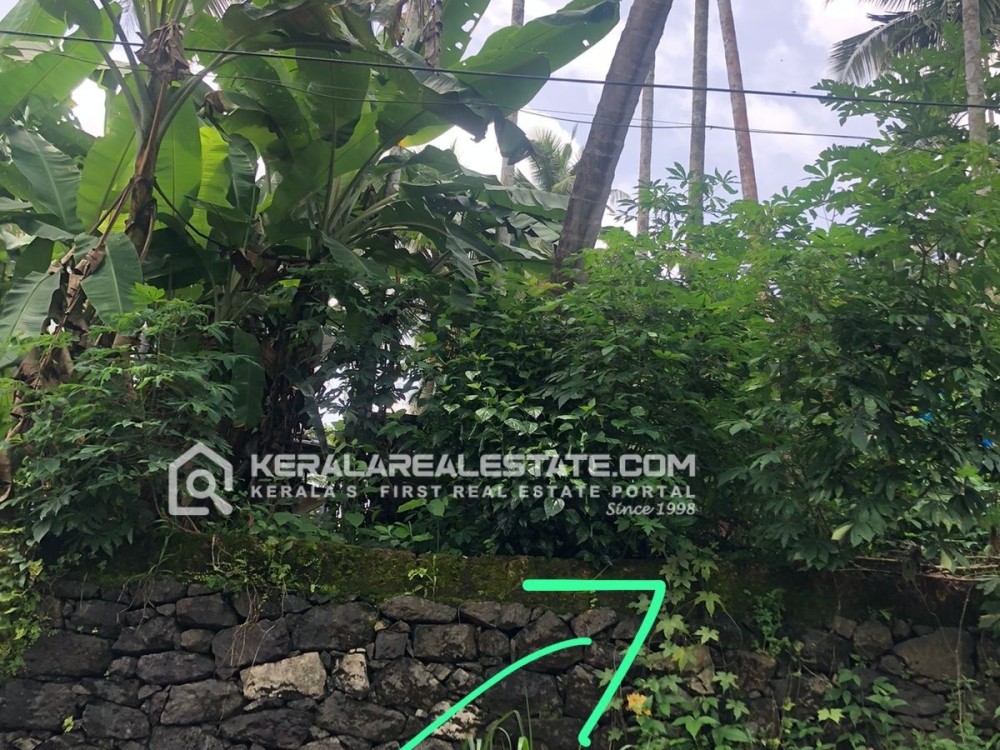 Land with Old House for Sale in Kalandithazham, Kozhikode