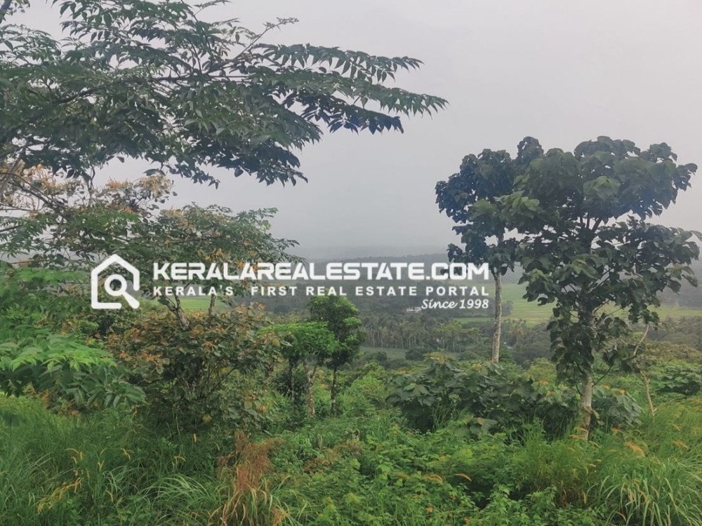 8 Acres of Land for Sale in Cherukattoor, Wayanad 