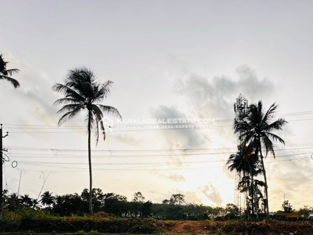 Prime Land for Sale in Ponkunnam, Kottayam 