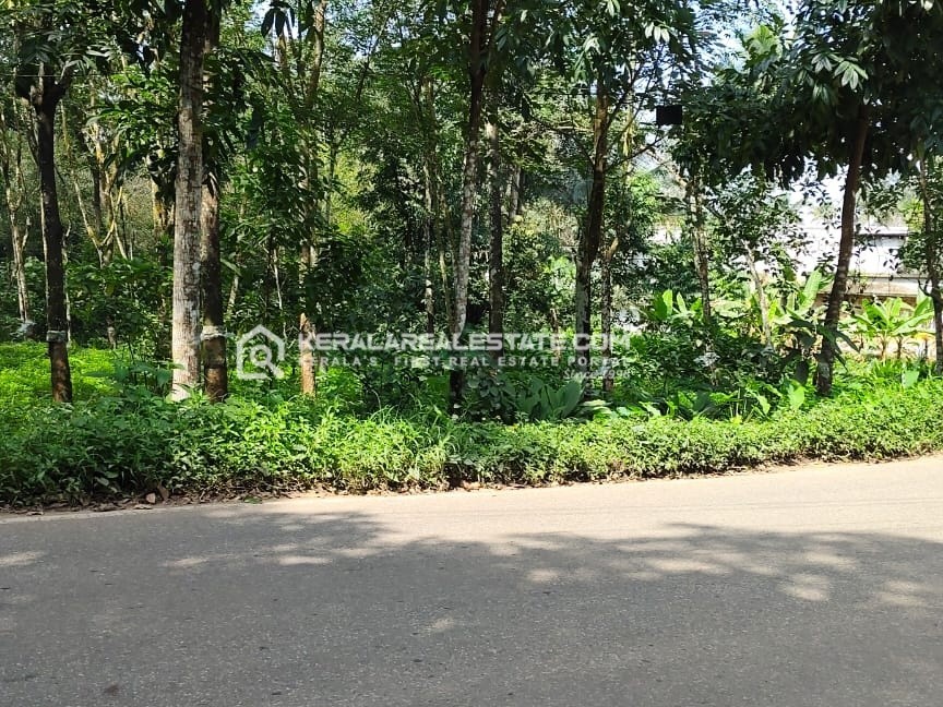 Land for Sale in Mazhuvannoor, Ernakulam
