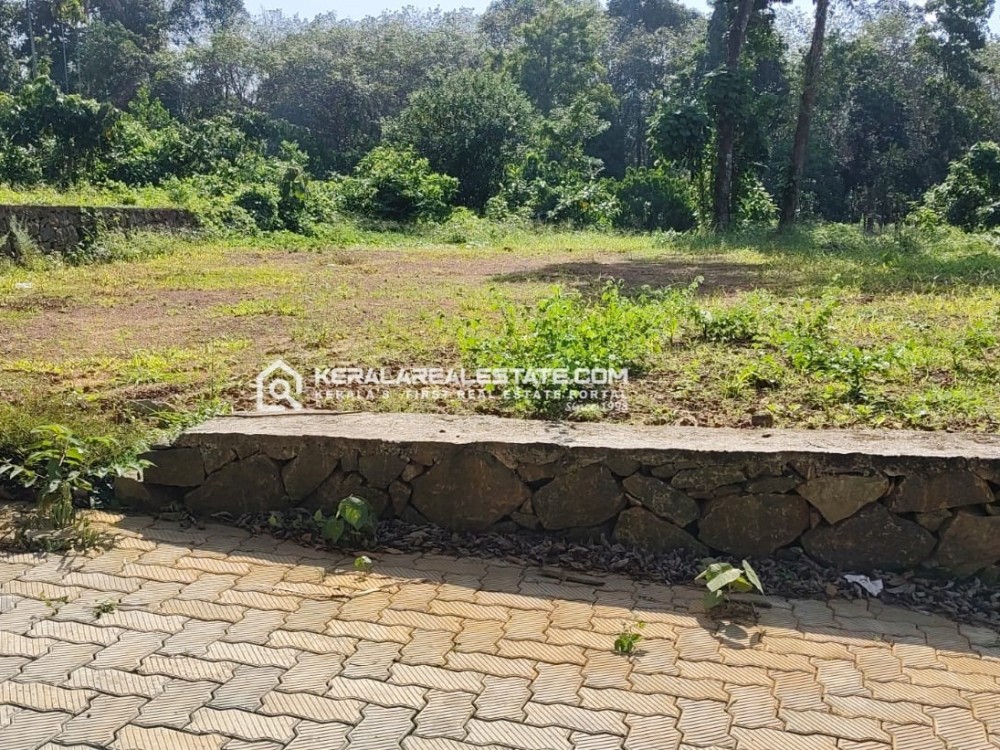 Land for Sale in Kolencherry, Ernakulam 