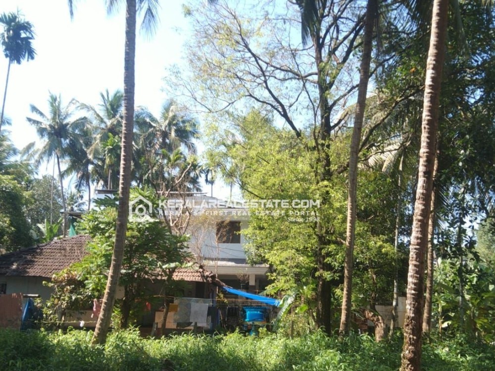 Land for Sale in Mundickal Thazham, Calicut