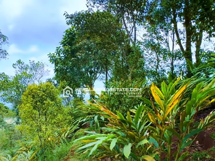 Land for Sale in Idinjamala, Idukki