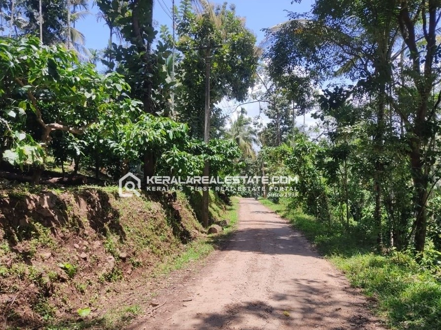  Farm Land for Sale in Irulam, Kallonikunnu, Wayanad 