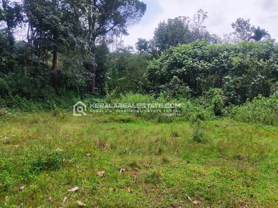 Land for Sale in Choothupara, Wayanad