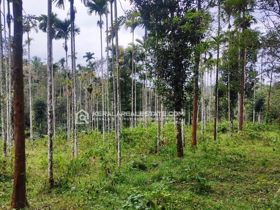 Land for Sale in Valavayal, Wayanad