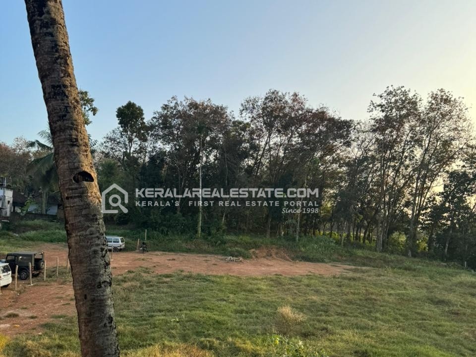 Commercial Land for Sale in Pathanapuram, Kollam