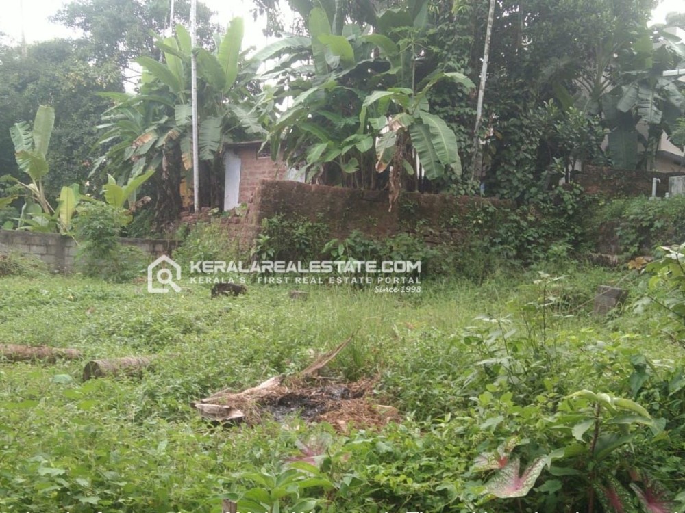 Residential Land for Sale in Ozhukara, Calicut