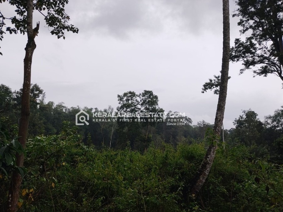 Land for Sale in Nenmenikunnu, Sulthan Bathery, Wayanad