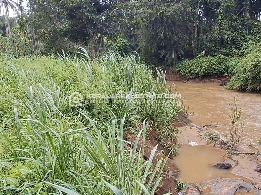 6BHK Bungalow with Homestay Land for Sale in Meenangadi, Wayanad