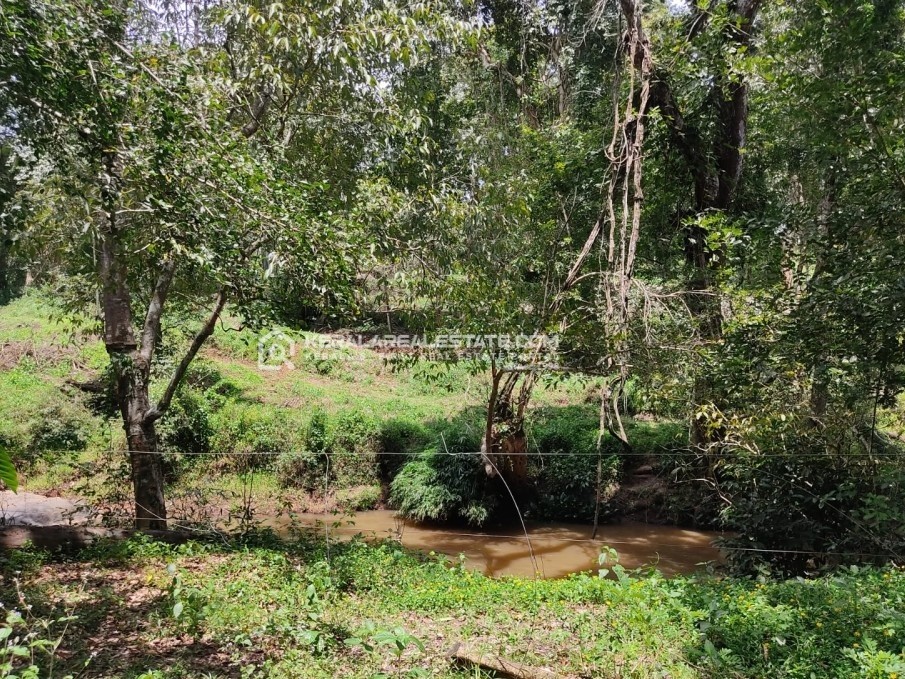Riverside Plot for Sale in Nadavayal, Wayanad