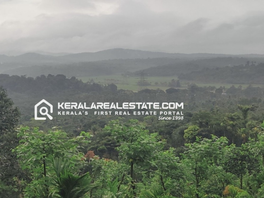 8 Acres of Land for Sale in Cherukattoor, Wayanad
