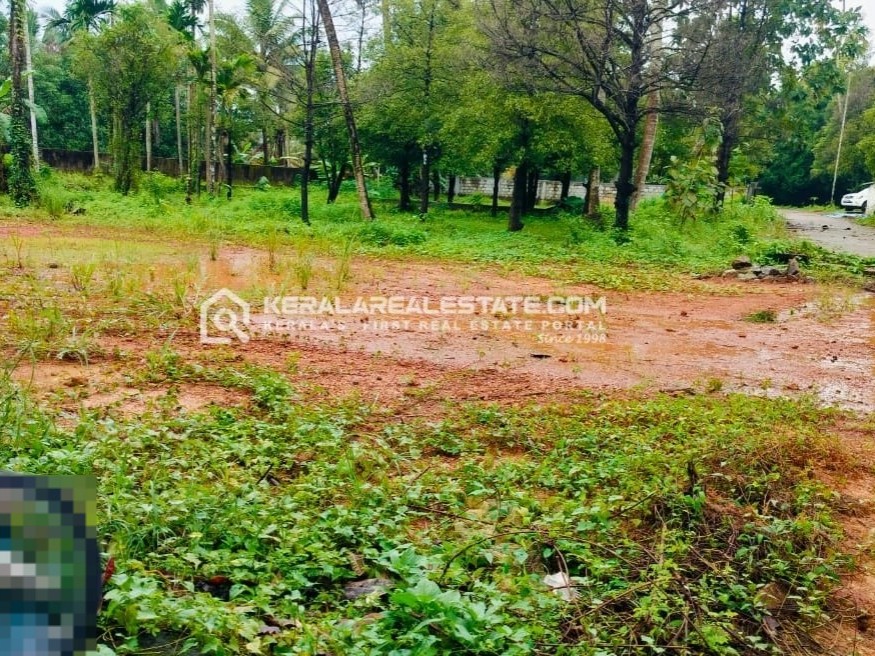 Residential Land for Sale in Athani, Chengamanad, Ernakulam