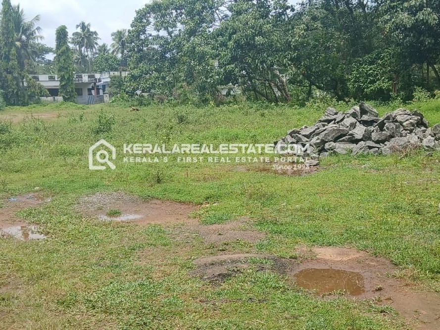 House Plot for Sale in Marottichuvadu, Ernakulam