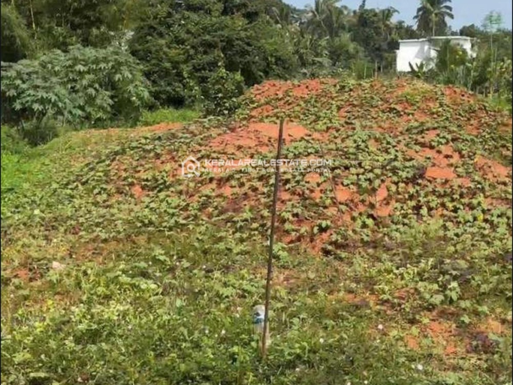 Commercial Cum Residential Land for Sale in Kalpetta, Wayanad