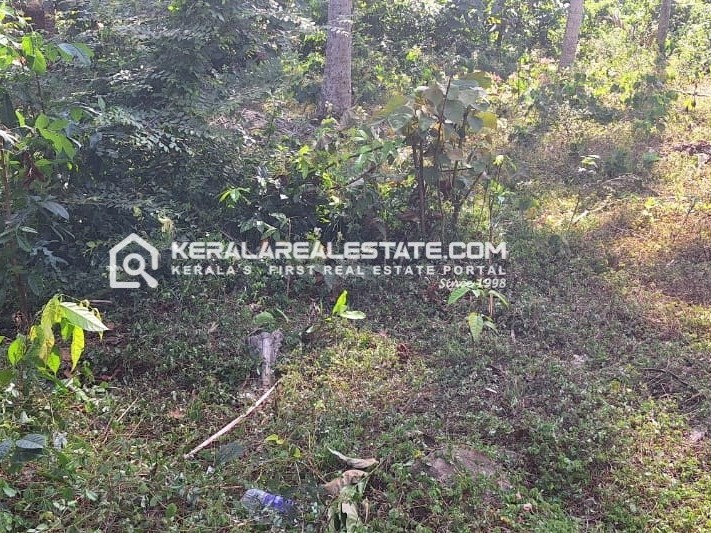 Prime Land for Sale in Chenkottukonam Junction, Trivandrum